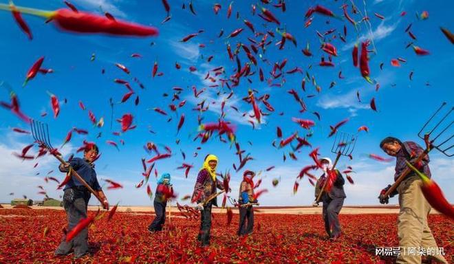 下中国简直就是世界上最恐怖的国家！j9九游会网站入口在西方媒体的宣传(图7)